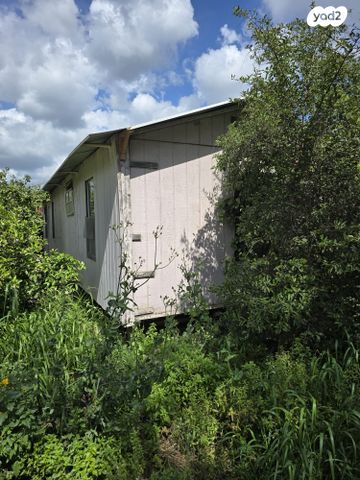 שדרת הברושים 3