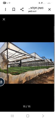 משק חקלאי/ נחלה