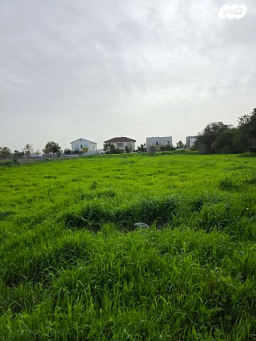 מגרשים, כפר סירקין