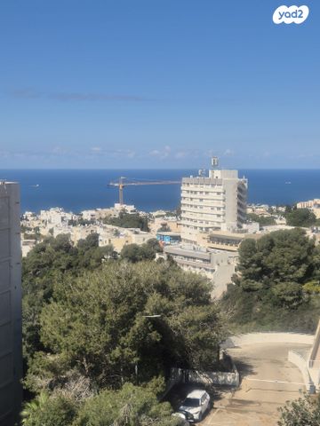 שדרות הצבי 38