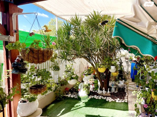 הרב אריה לוין 