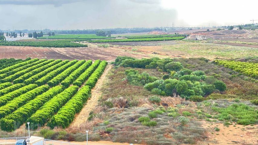 דירה, קרית השרון, נתניה