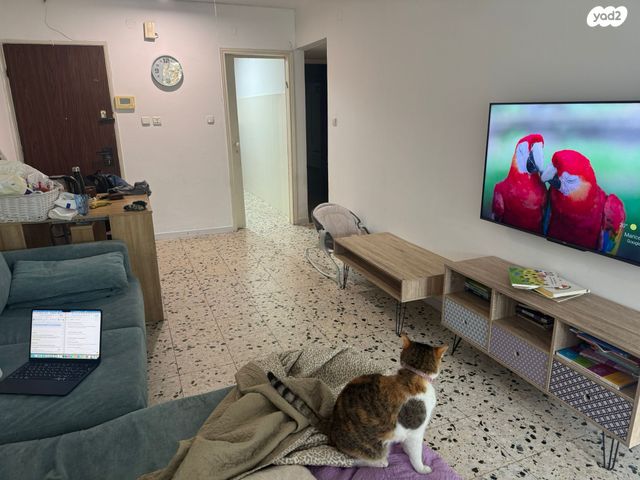 דרך משה דיין 