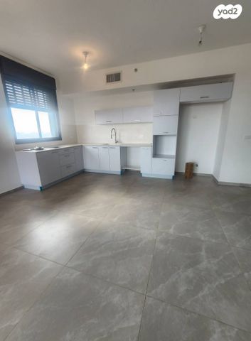 ראול ולנברג 