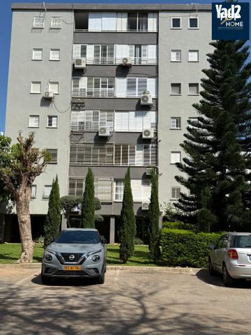 הרב קוק 