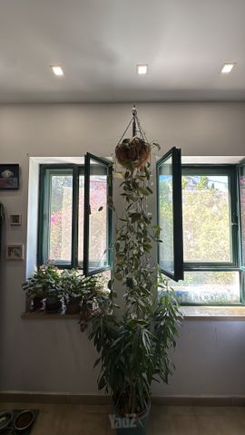 יחיאל מ.שטיינברג 
