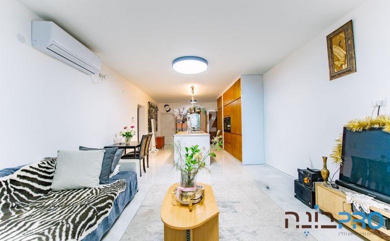 מוהליבר 