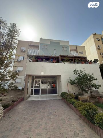 אריה דולצ'ין 