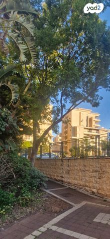 מבצע בן עמי 