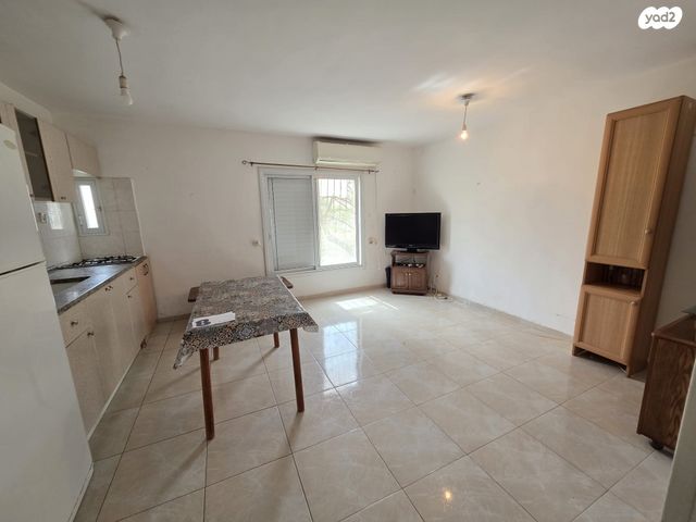 אלעזר בן יאיר 