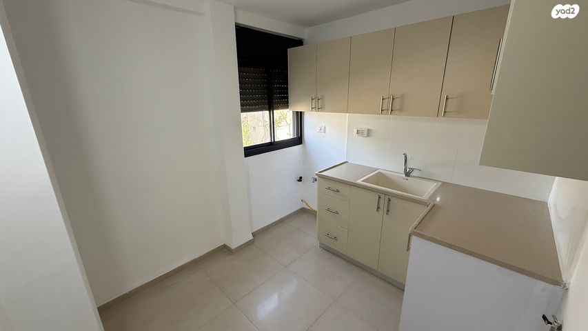 זאב ז'בוטינסקי 