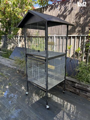 תמונת מודעה - חיות מחמד