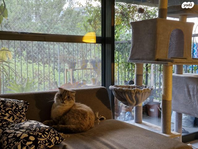 תמונת מודעה - חיות מחמד