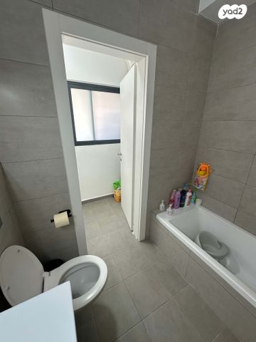 יחיאל מיכל פינס 13