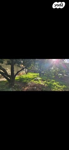 בן גוריון 11