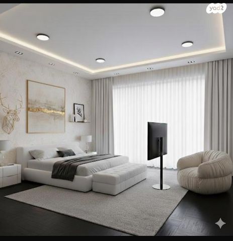 דוד וולפסון 21