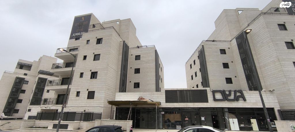 פרופסור יעקב נאמן 1