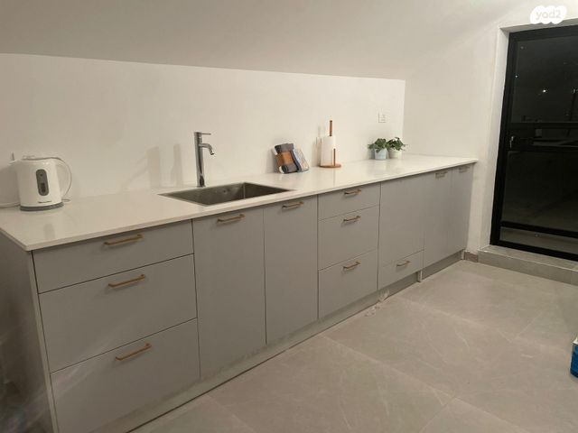 ז'בוטינסקי 1