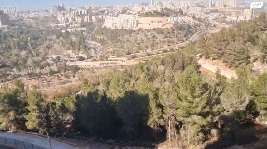 אבנר חי שאקי 