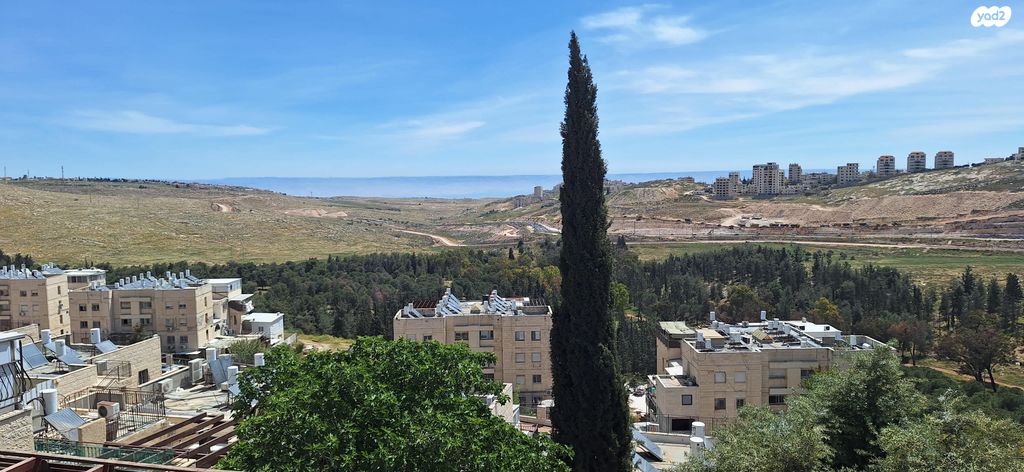 הרב ש"י זווין 