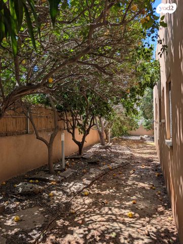 כרמי בנימינה