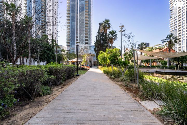 ליאונרדו דה וינצ'י 6