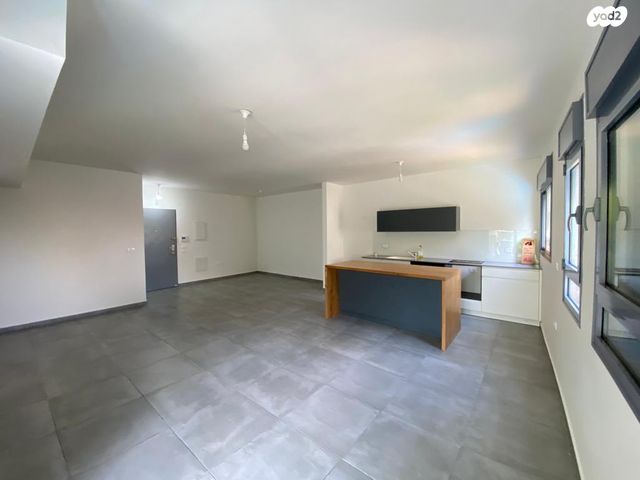 מאיר רוטברג 