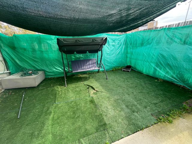 גיורא יוספטל 