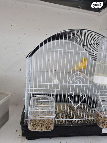 תמונת מודעה - חיות מחמד