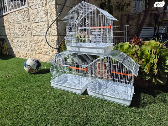 תמונת מודעה - חיות מחמד