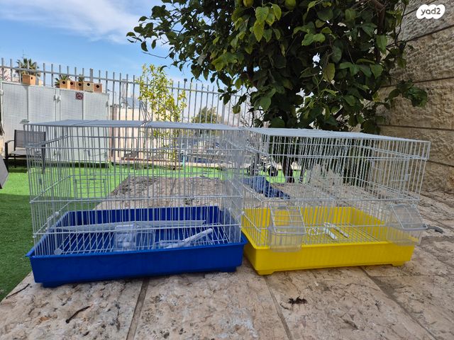 תמונת מודעה - חיות מחמד