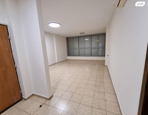 בן גוריון 50