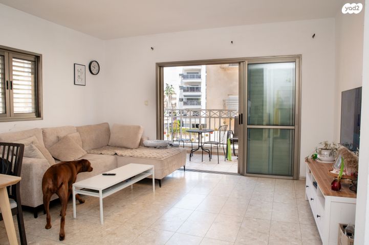 אברהם טביב 18