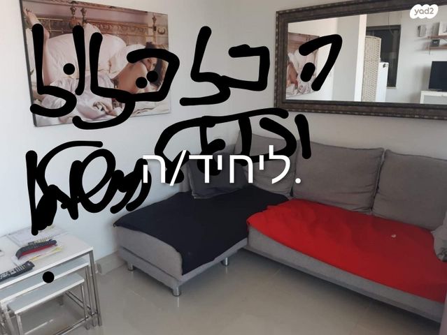 דרור 6