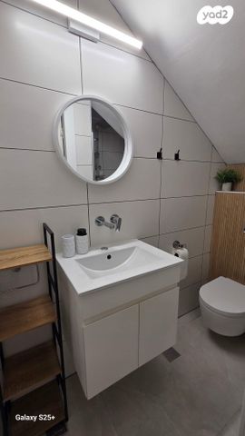 אבא ברדיצ'ב 31