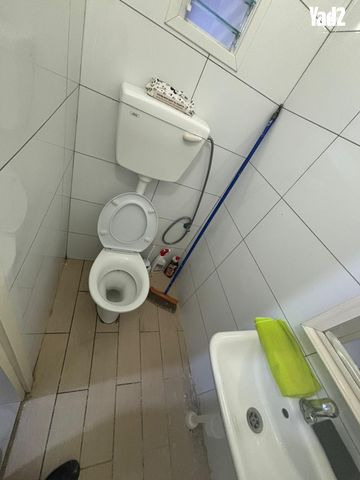 המלך דוד 5