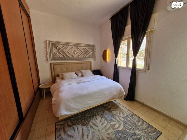 ברודצקי אשר 15