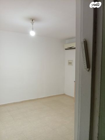 אלכסנדר זייד 15