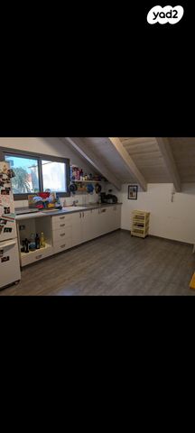 קרן קיימת לישראל 40