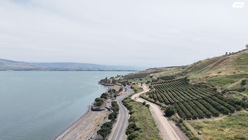 שדרות אליעזר קפלן 