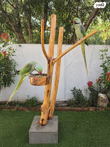 תמונת מודעה - חיות מחמד