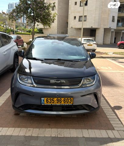 מודעת רכב בי.ווי.די דולפין