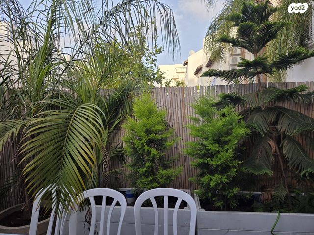 יקותיאל אדם 17