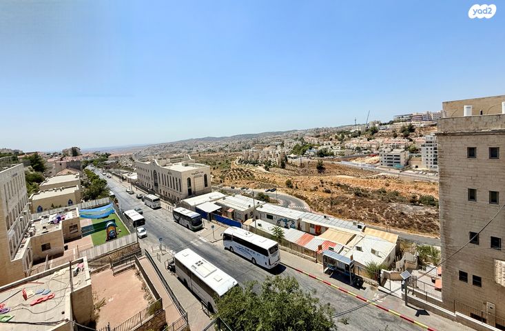 האדמו"ר מרוז'ין 28