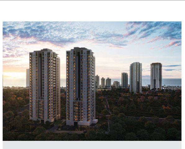 היהלומן אברהמס 26