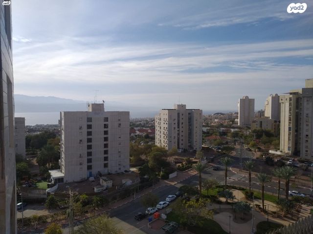 כיכר צנינית 3