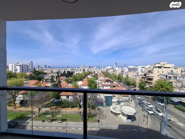 כצנלסון 24