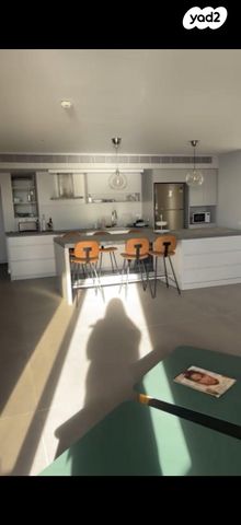 אלי לנדאו 60