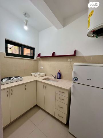 אהרון רבינוביץ' 8