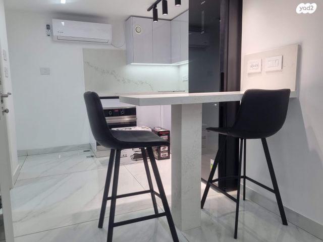 האדמו"ר מרוז'ין 8